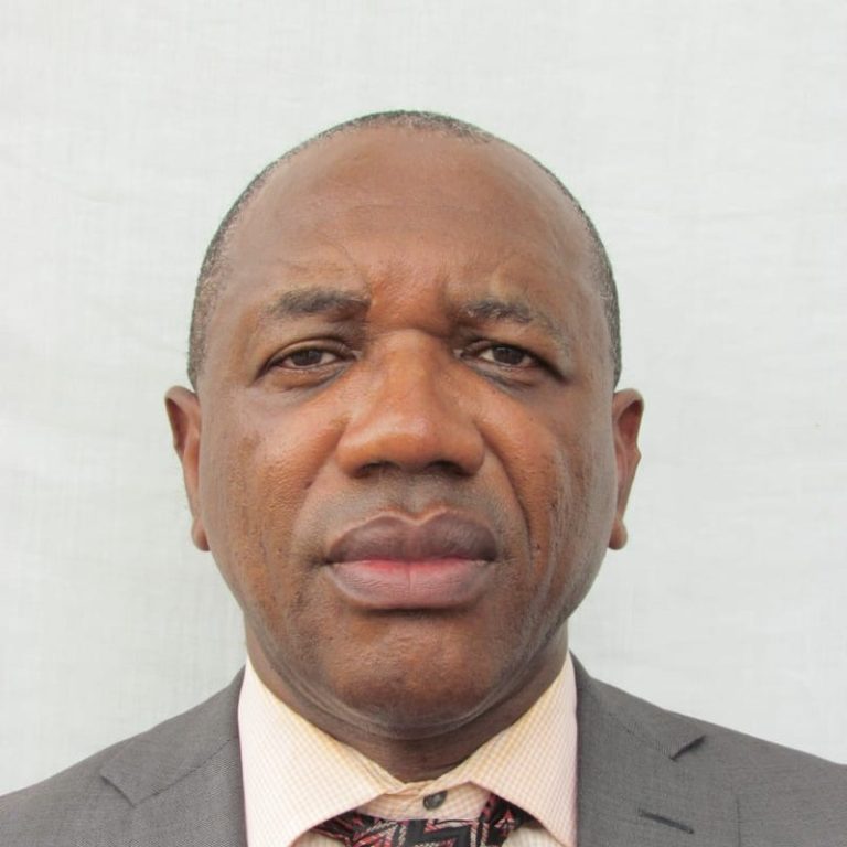 Prof. Kayamba Tshitshi Ndouba
